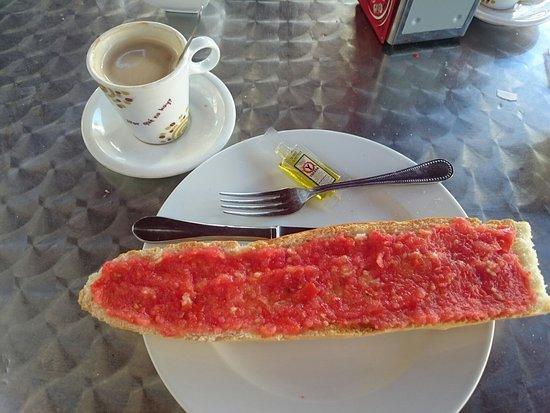 El Olivo