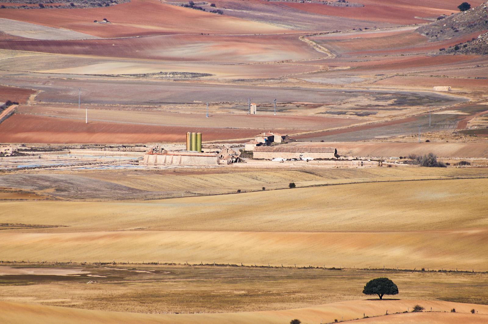 Salinas de La Olmeda